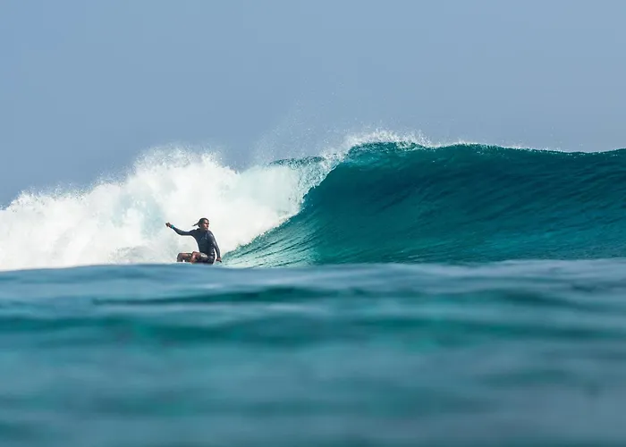 Twin Palms 'Beach House' - New Surf Front Location